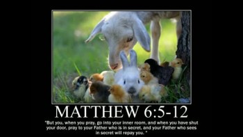 Animal Themed Motivational Posters of Bible Scripture 2 - Inspirational  Videos